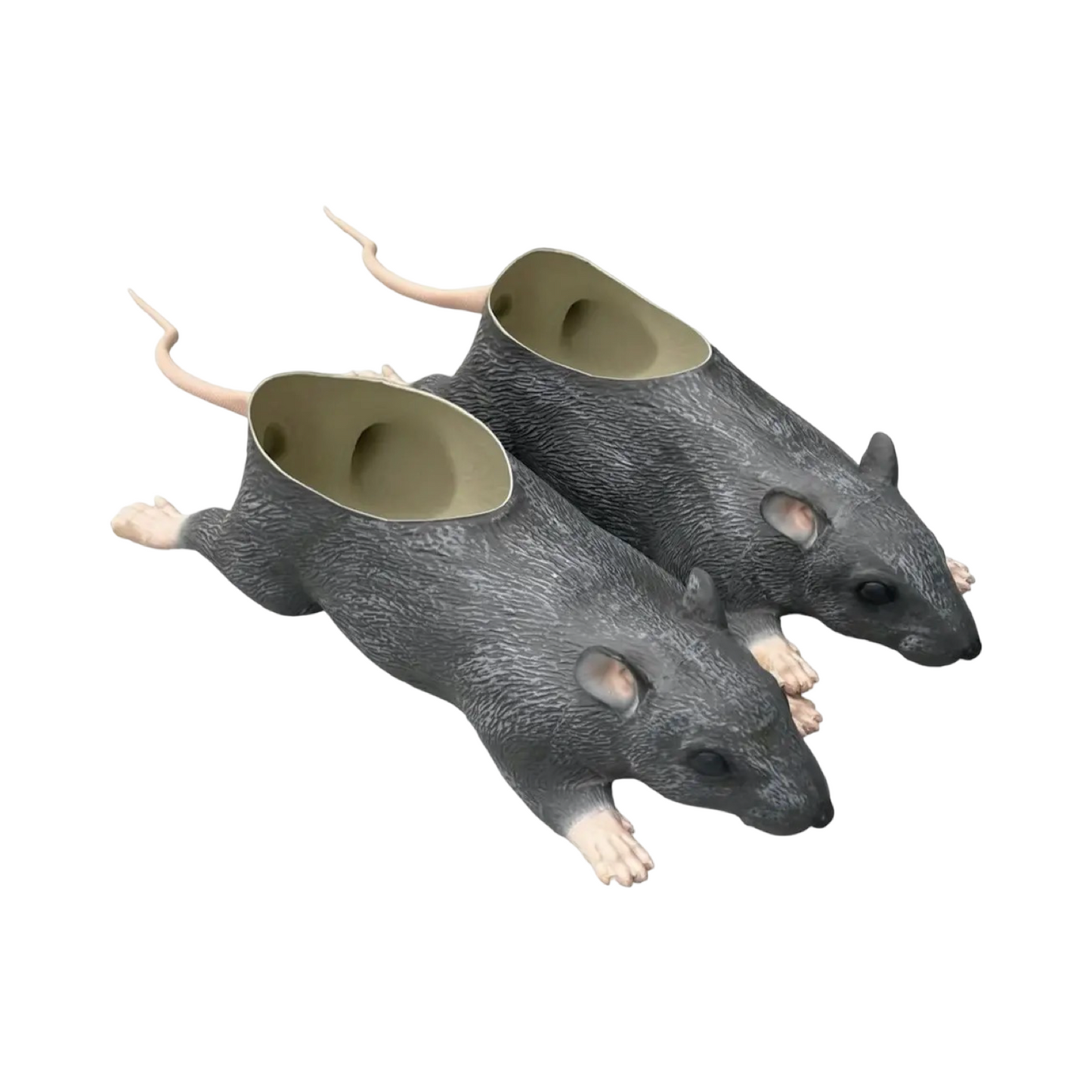 IMRAN POTATO RATS