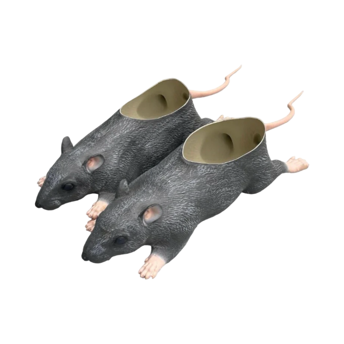 IMRAN POTATO RATS