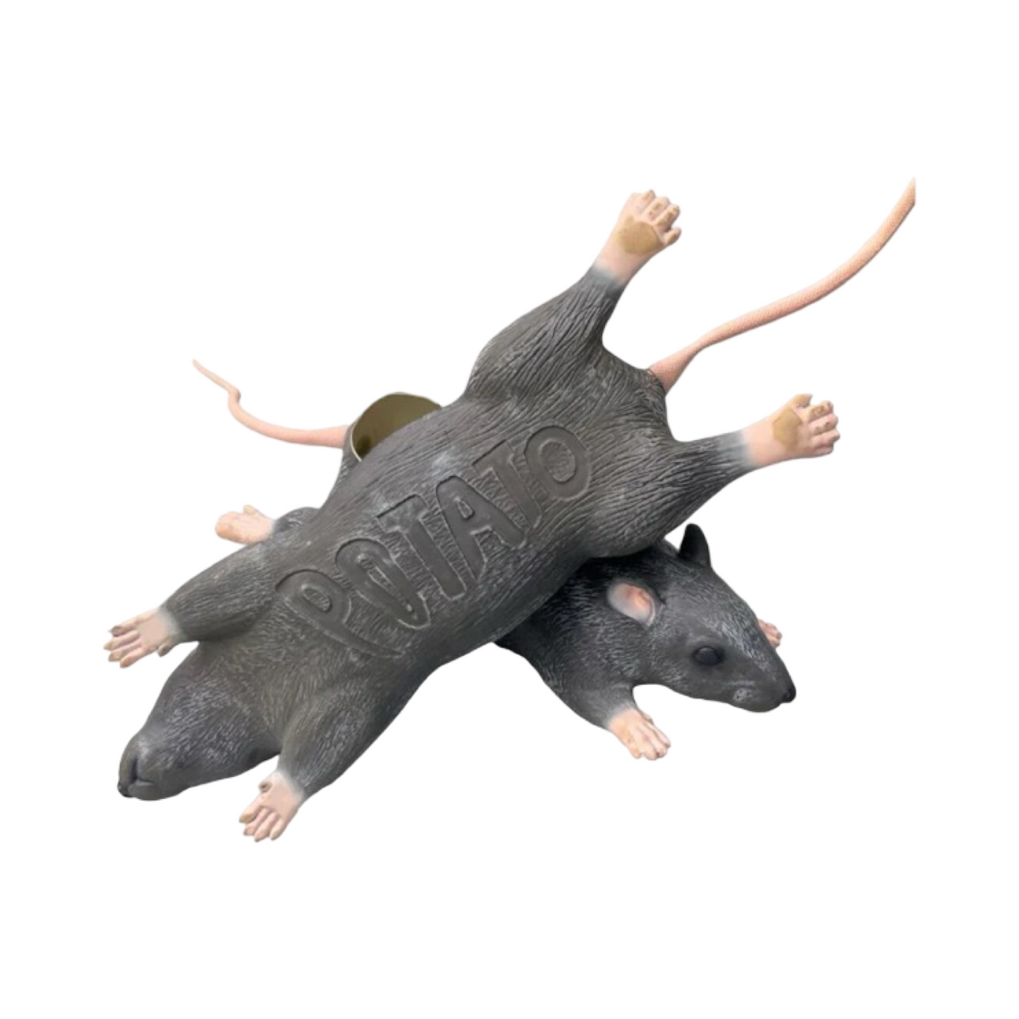 IMRAN POTATO RATS