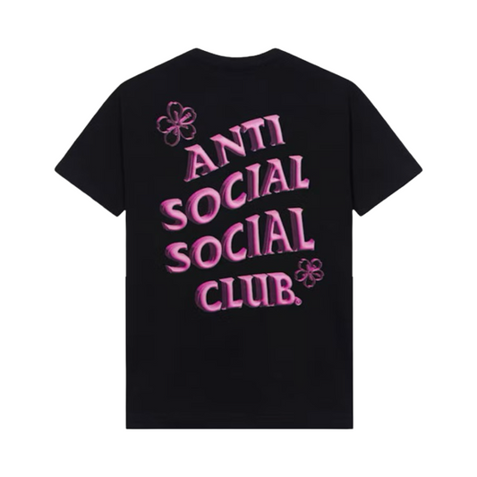 ASSC CORAL CRUSH